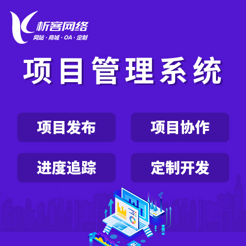 上海项目管理系统