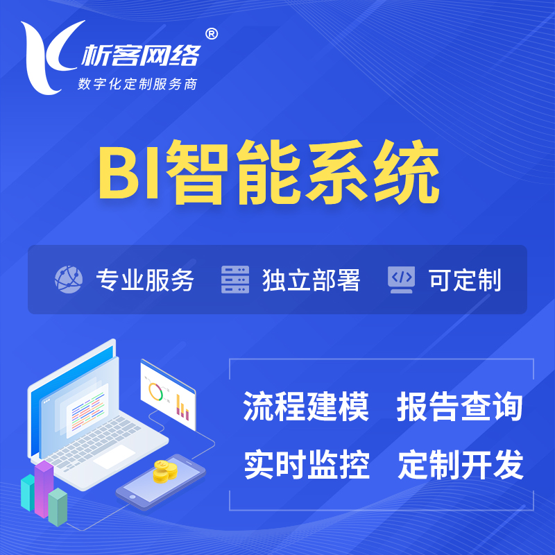 上海BI智能系统 | BI数据可视化