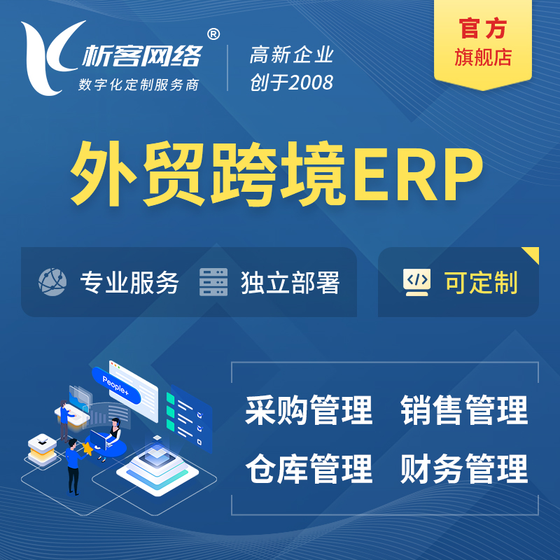 上海外贸跨境ERP软件生产海外仓ERP管理系统