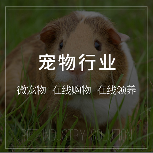上海集运系统制作中的航空运力波动风险预警
